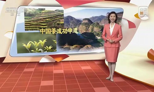 <strong>中科星桥空天科技赋能“三茶统筹”登上央视3套</strong>
